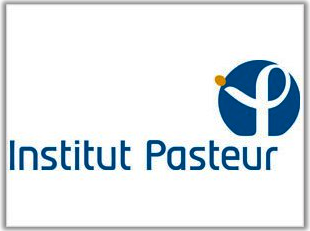 Institut Pasteur2