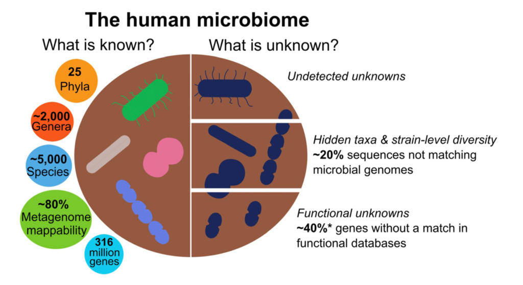 gut microbiota
