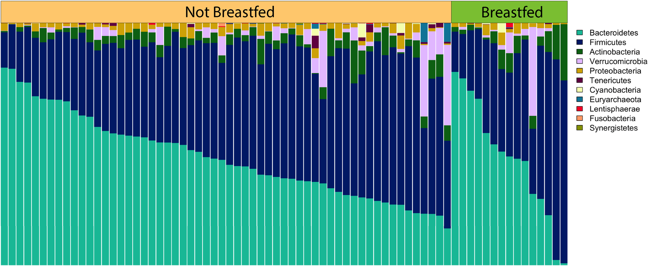 HIstory of breastfeeding